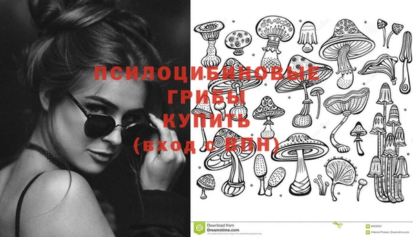 круглые Бородино