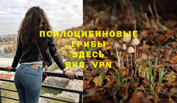 круглые Бородино