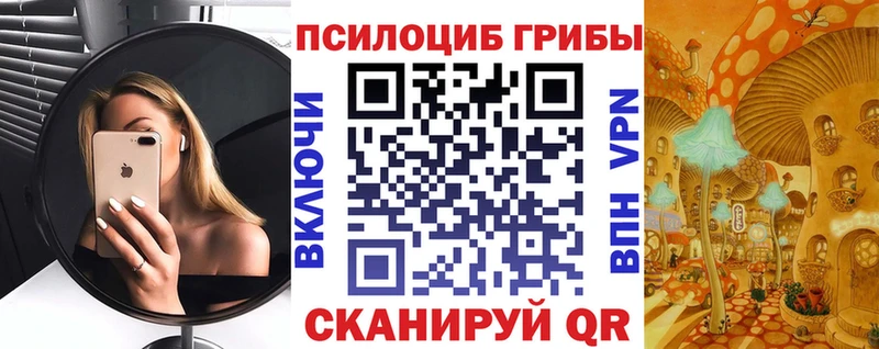 Купить закладки  Бугульма  Псилоцибиновые грибы мицелий 